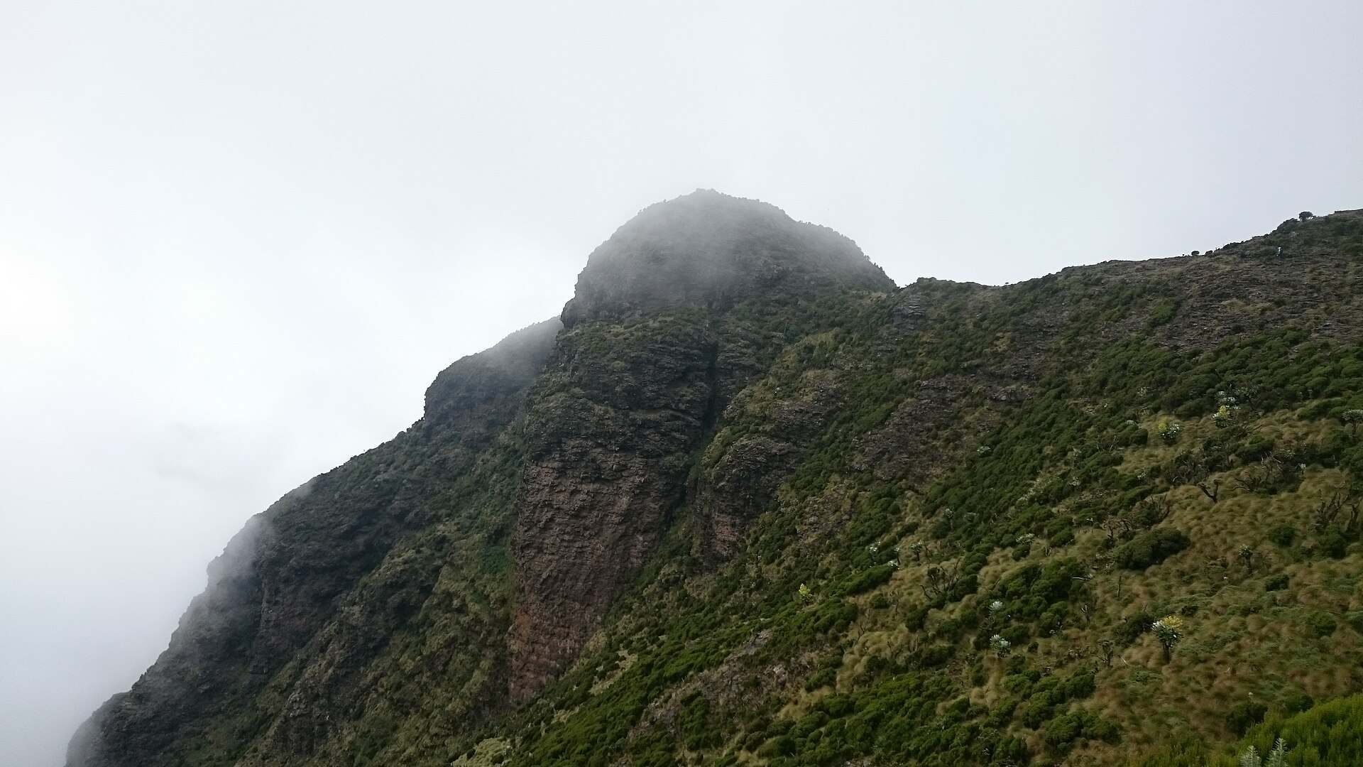 A misty Aberdare ridge — the eastern boundary of the Kinangop catchment